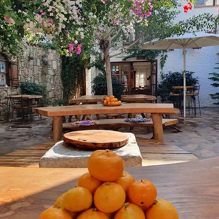 Monza House Hotel Siğacık